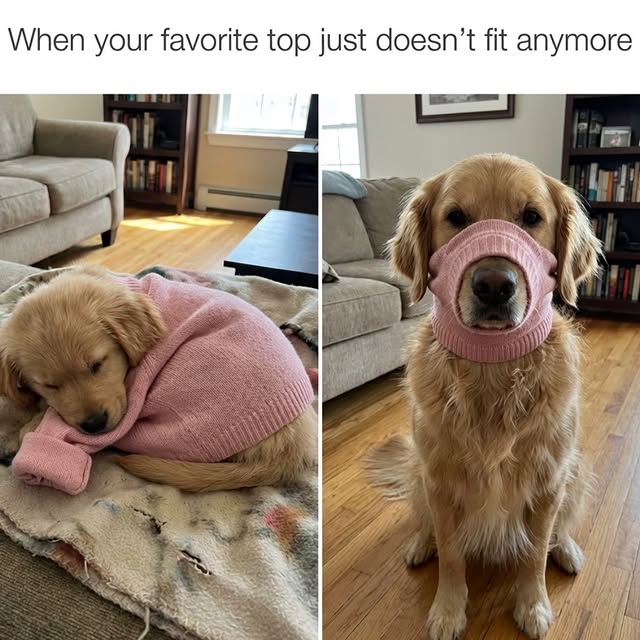  .....umors   'recent posts' 