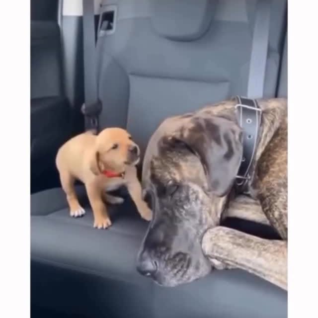  ......orable   'recent posts' 