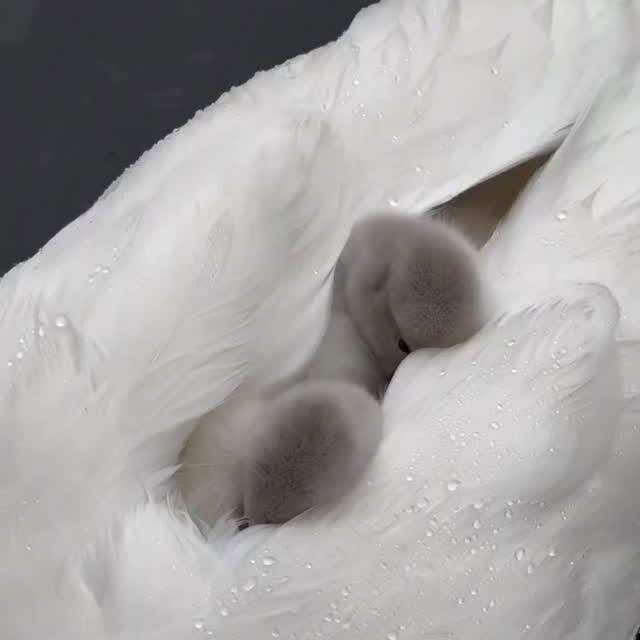  ......aveling   'recent posts' 