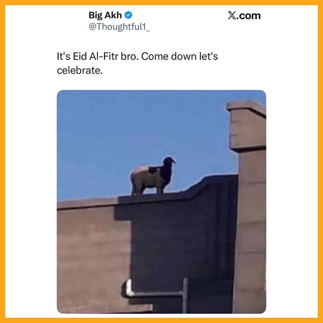  ......engali   'recent posts' 