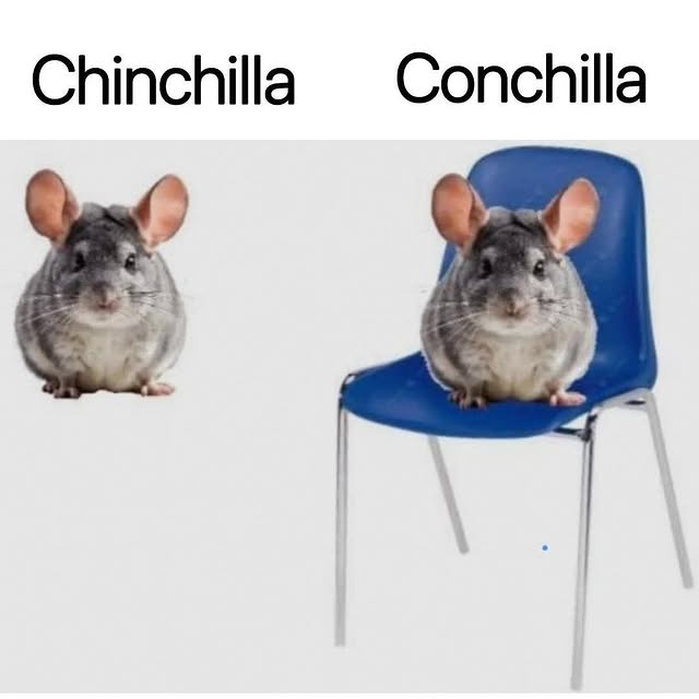  .....nanzis   'recent posts' 