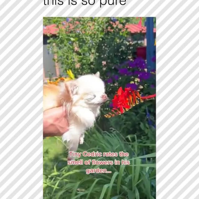  ......rposts   'recent posts' 