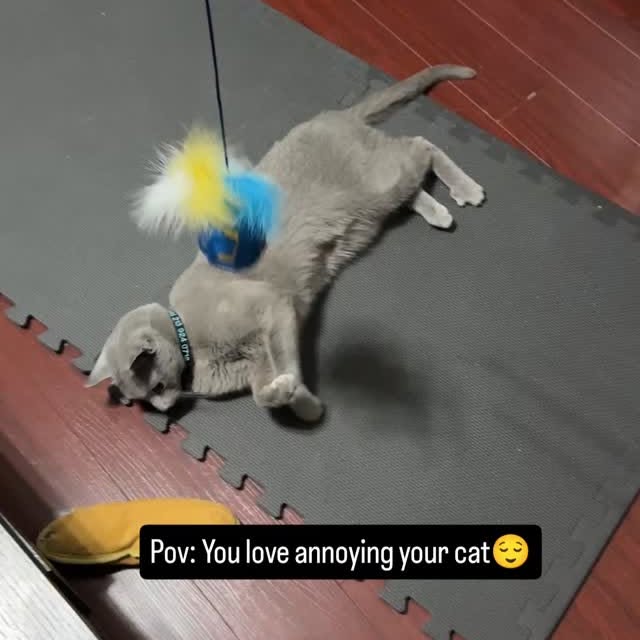  ......n_boris   'recent posts' 