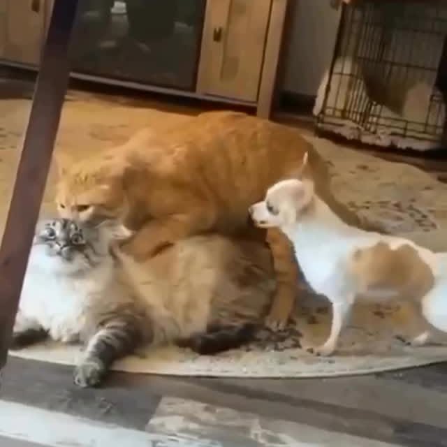  ........astiming   'recent posts' 