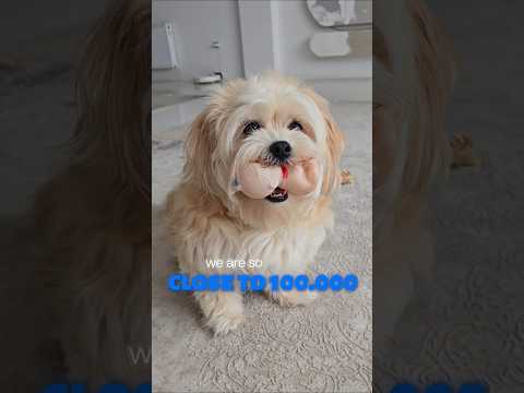  ..ni  'recent videos' 