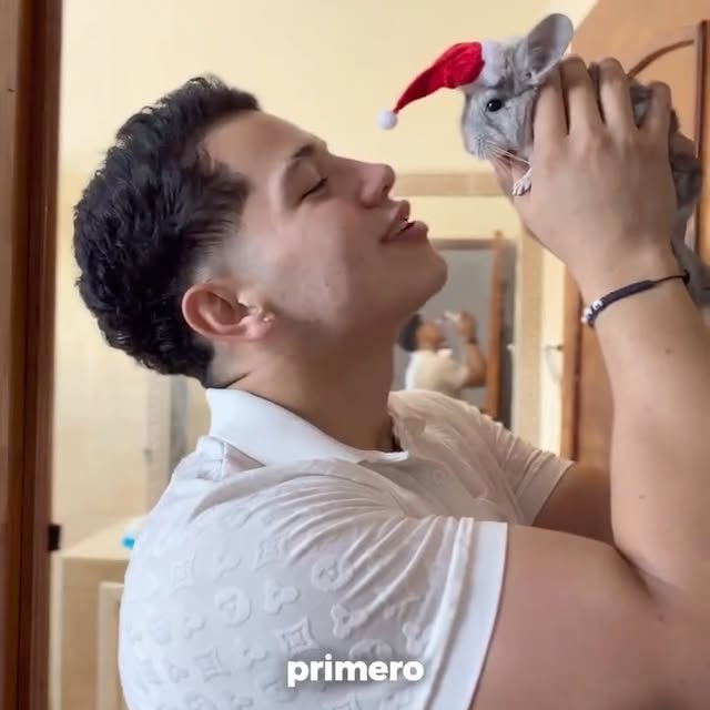  ........del_exito   'recent posts' 