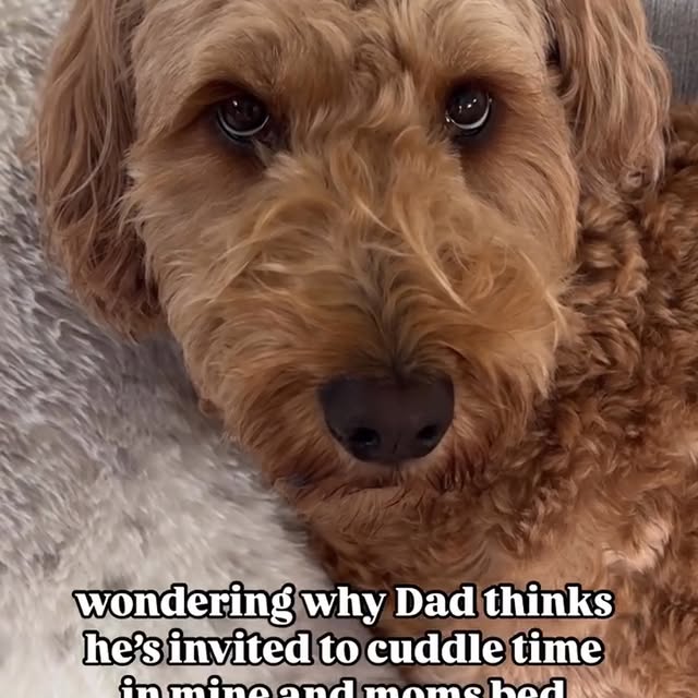  .....overs   'recent posts' 