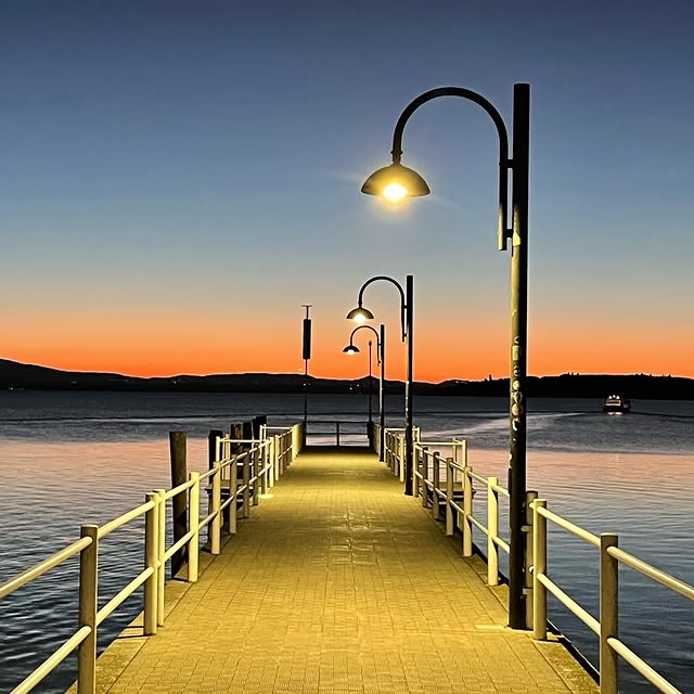  ......_viola   'recent posts' 