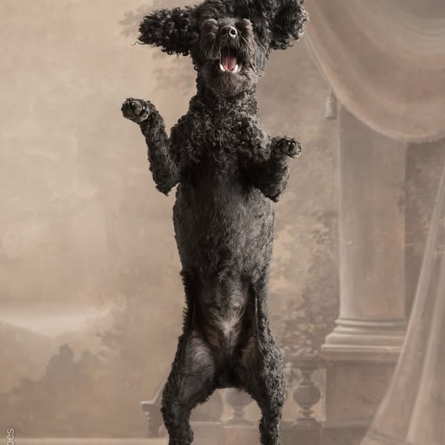  ..........hotography   'recent posts' 