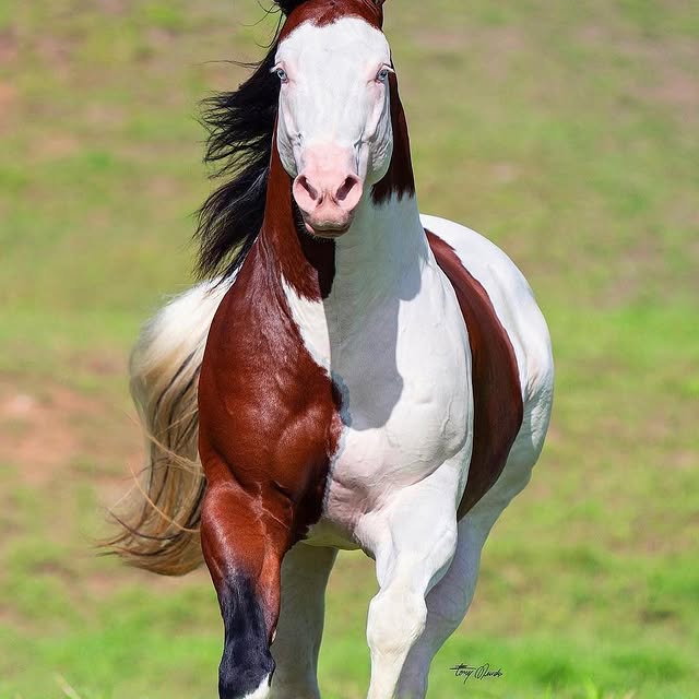  .....fervor   'recent posts' 