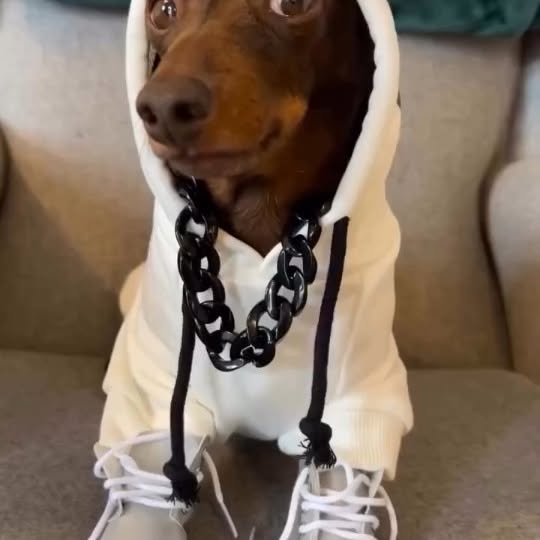  ..........fan.club_   'recent posts' 