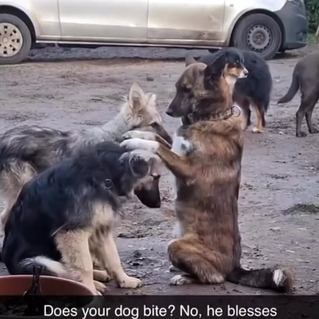  ......urluck   'recent posts' 