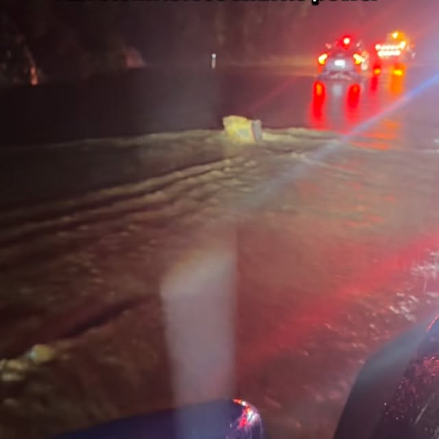  ......_diana   'recent posts' 