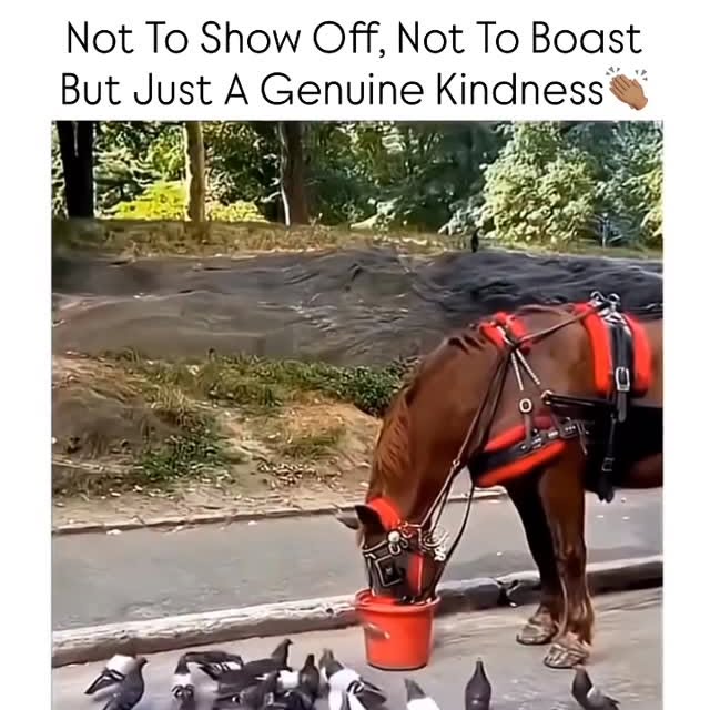  ........rldsnews   'recent posts' 