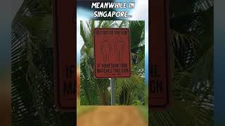  ...get  'recent videos' 