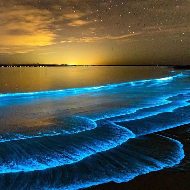  ......ravels   'recent posts' 