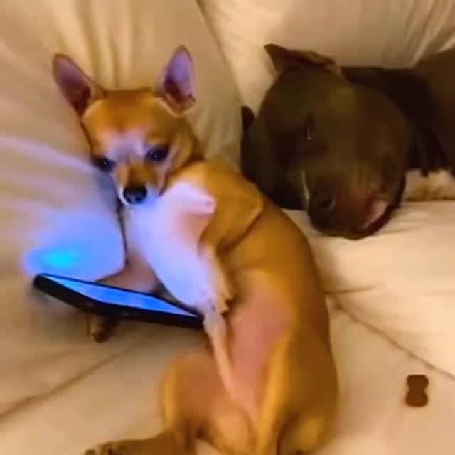  .......plorers   'recent posts' 