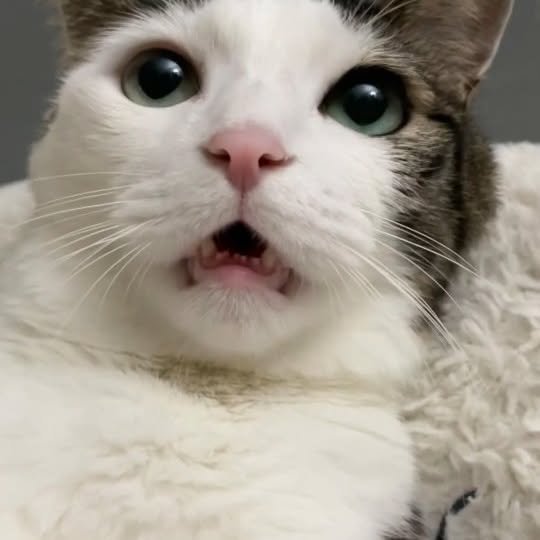  ...........irmouthopen   'recent posts' 