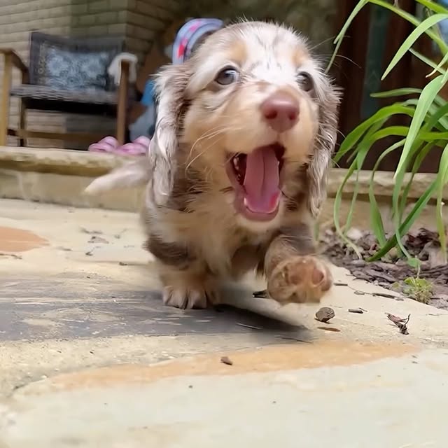  ........malsgram   'recent posts' 