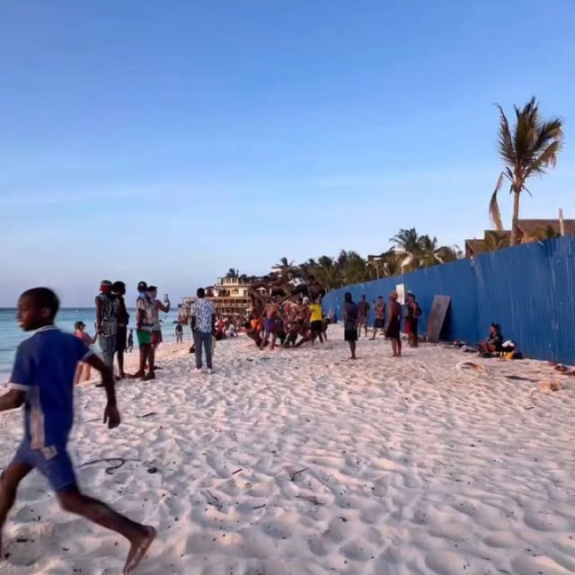  ......ivines   'recent posts' 