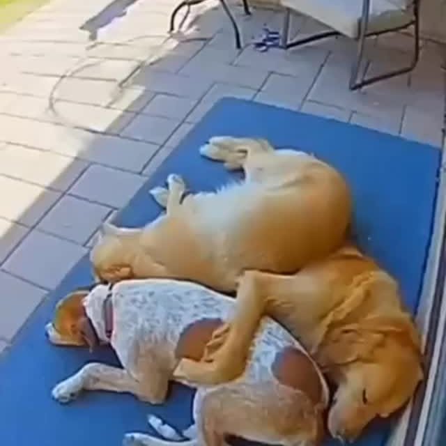  .....nly.ai   'recent posts' 