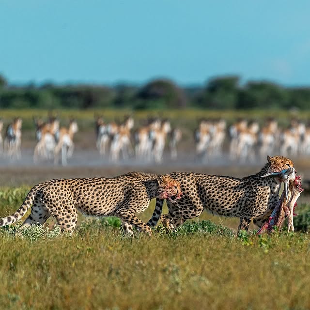  .........._sightings   'recent posts' 