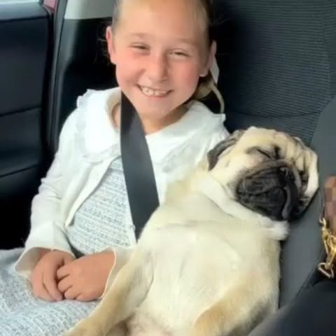  .....wners   'recent posts' 