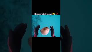  ......ricals  'recent videos' 