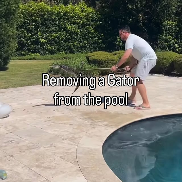  .....lorida   'recent posts' 