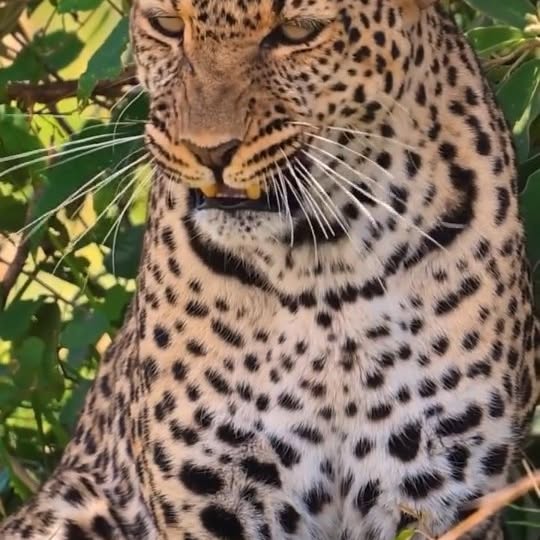  .........._sightings   'recent posts' 