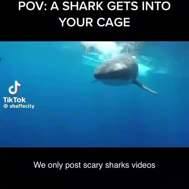  .........arkattacks   'recent posts' 