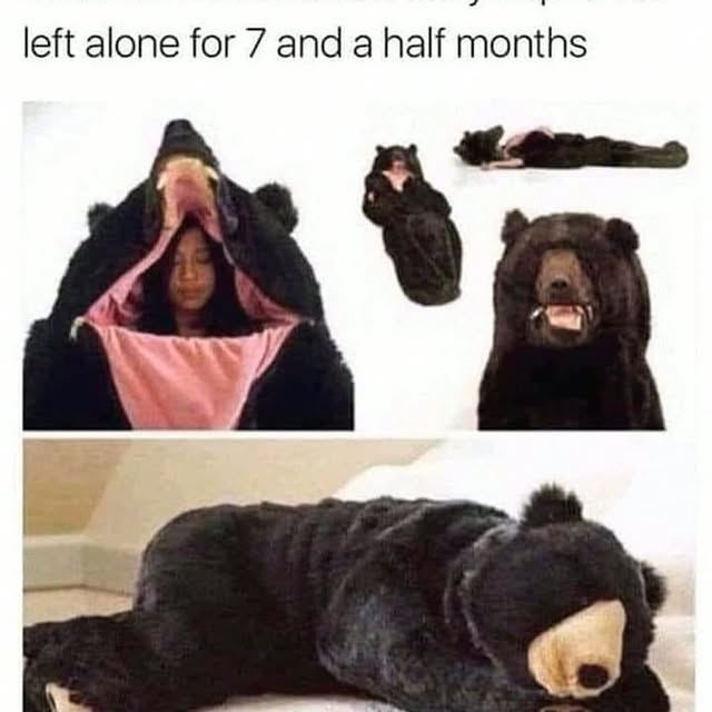  ......reguide   'recent posts' 