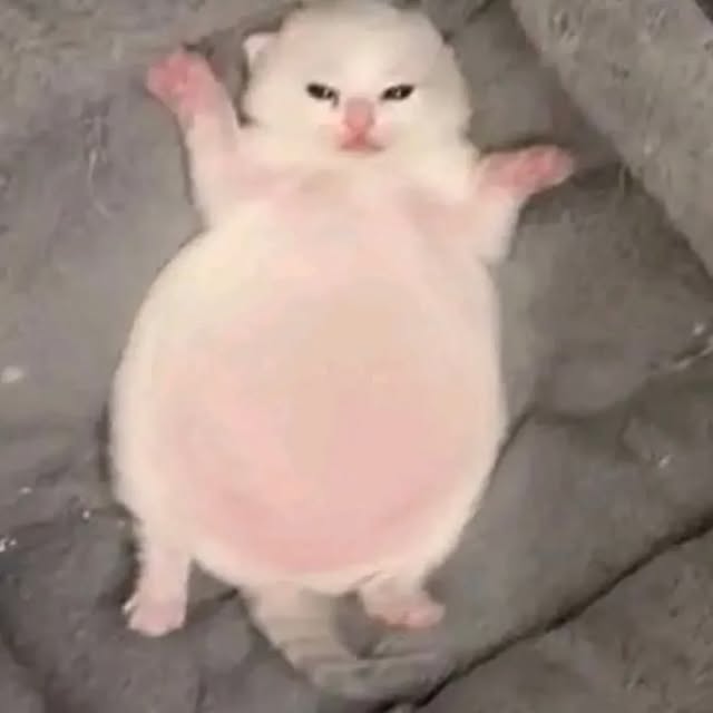  .....attos   'recent posts' 