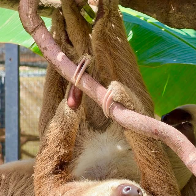  .....aisai   'recent posts' 