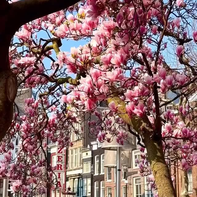  .......amworld   'recent posts' 