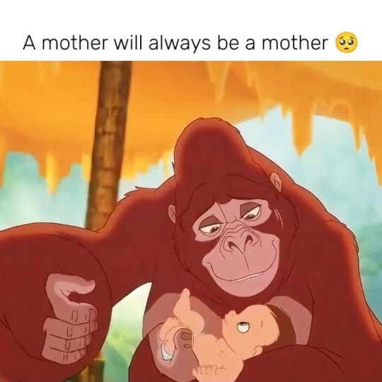  ......humour   'recent posts' 