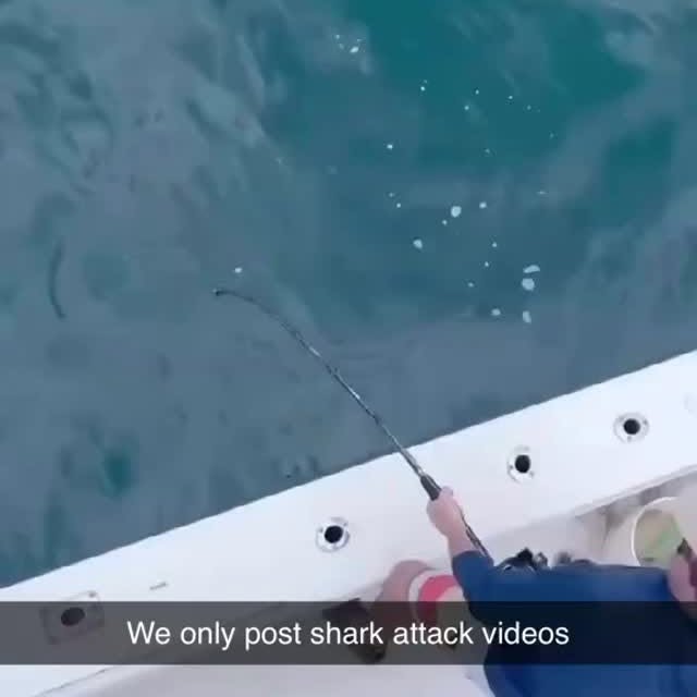  .........arkattacks   'recent posts' 