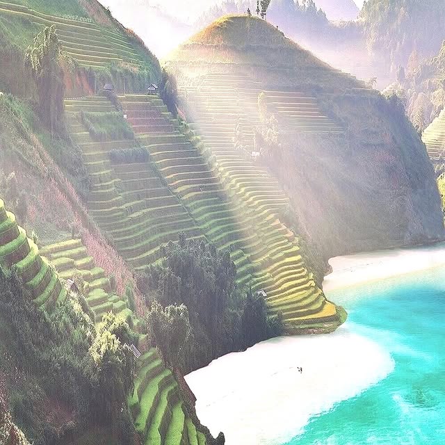  .....xplore   'recent posts' 