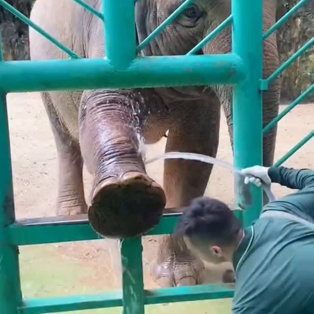  .....acthub   'recent posts' 