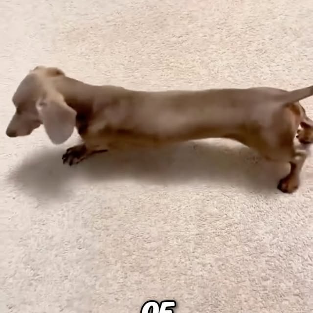  ........ykingdom   'recent posts' 