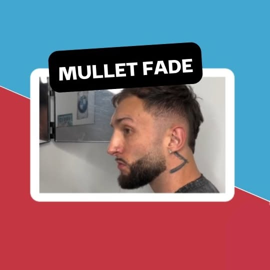  ......ylemens   'recent posts' 