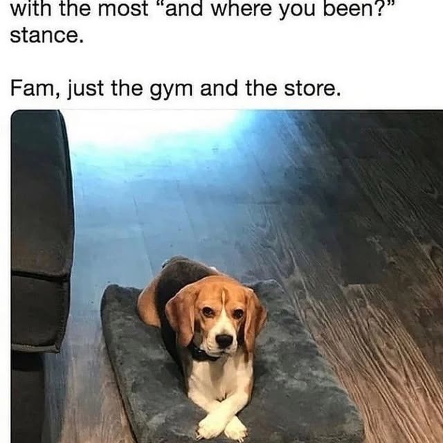  .......ndrulzz   'recent posts' 