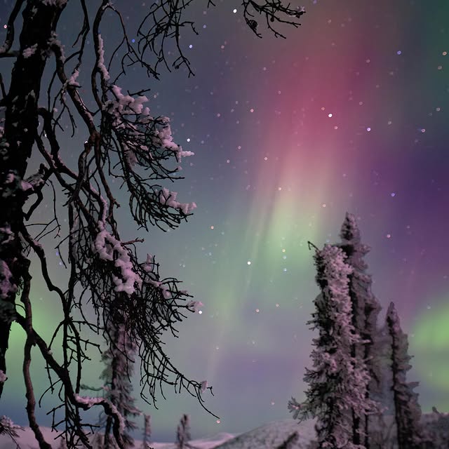  ......dchichi   'recent posts' 