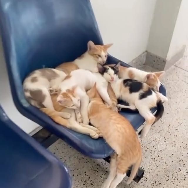  ...urre   'recent posts' 