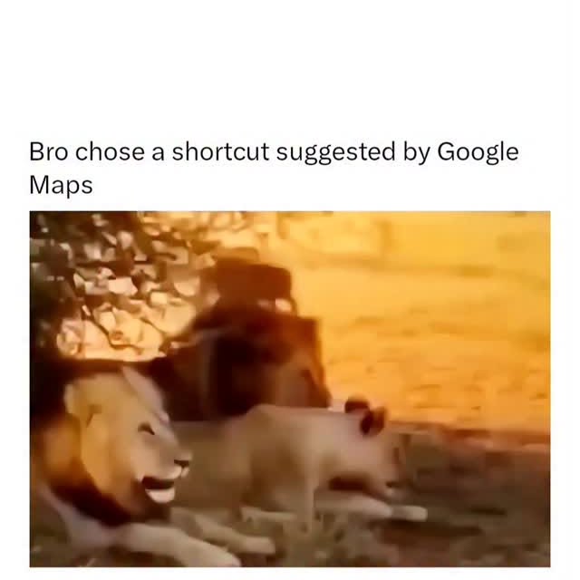  ......humour   'recent posts' 