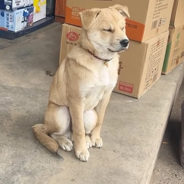  ......s.club   'recent posts' 