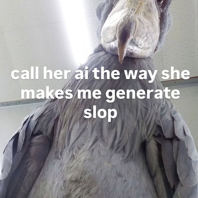  ..........rdoftheday   'recent posts' 