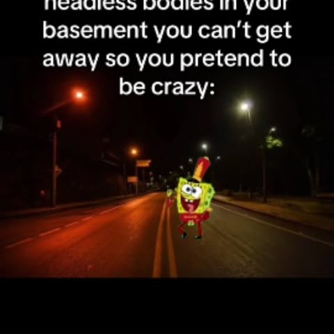  .......msvideos   'recent posts' 