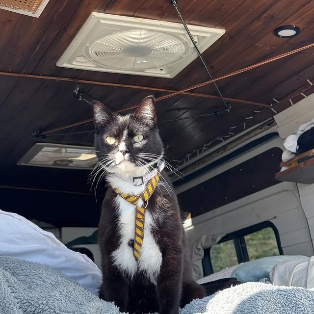  ....iseme   'recent posts' 