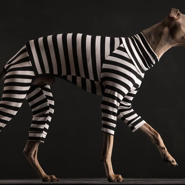  ..........hotography   'recent posts' 